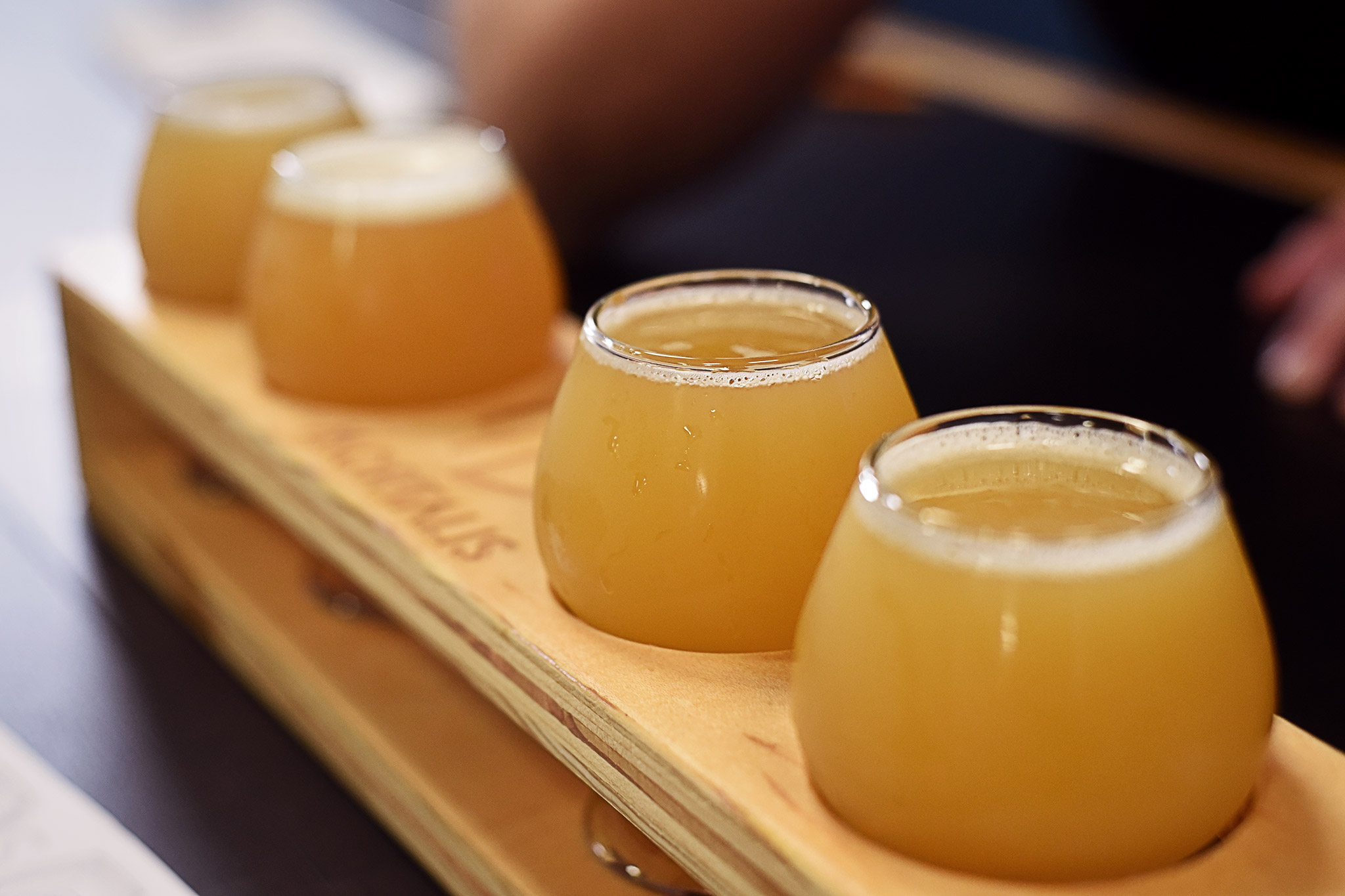 photo-ipa-flight-02.jpg