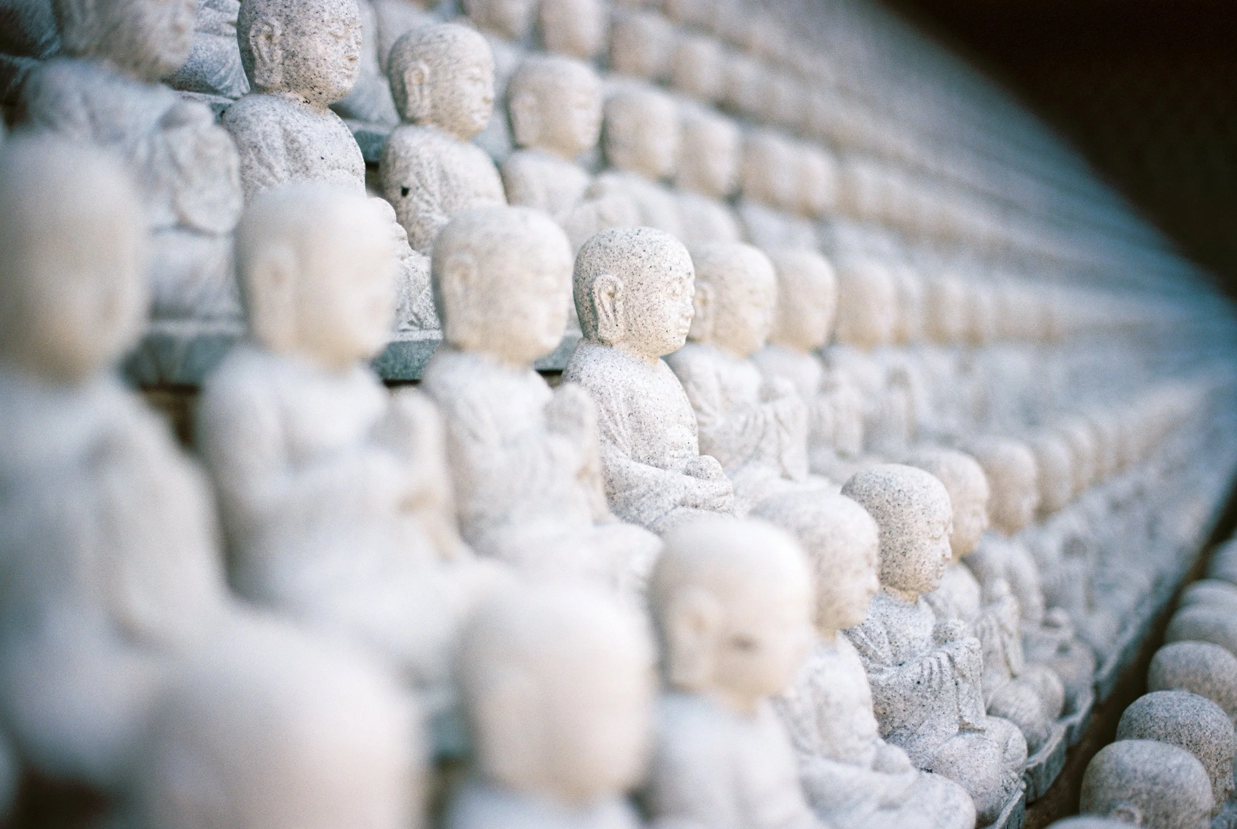 Photo by&nbsp;Jed Adan&nbsp;on&nbsp;Unsplash