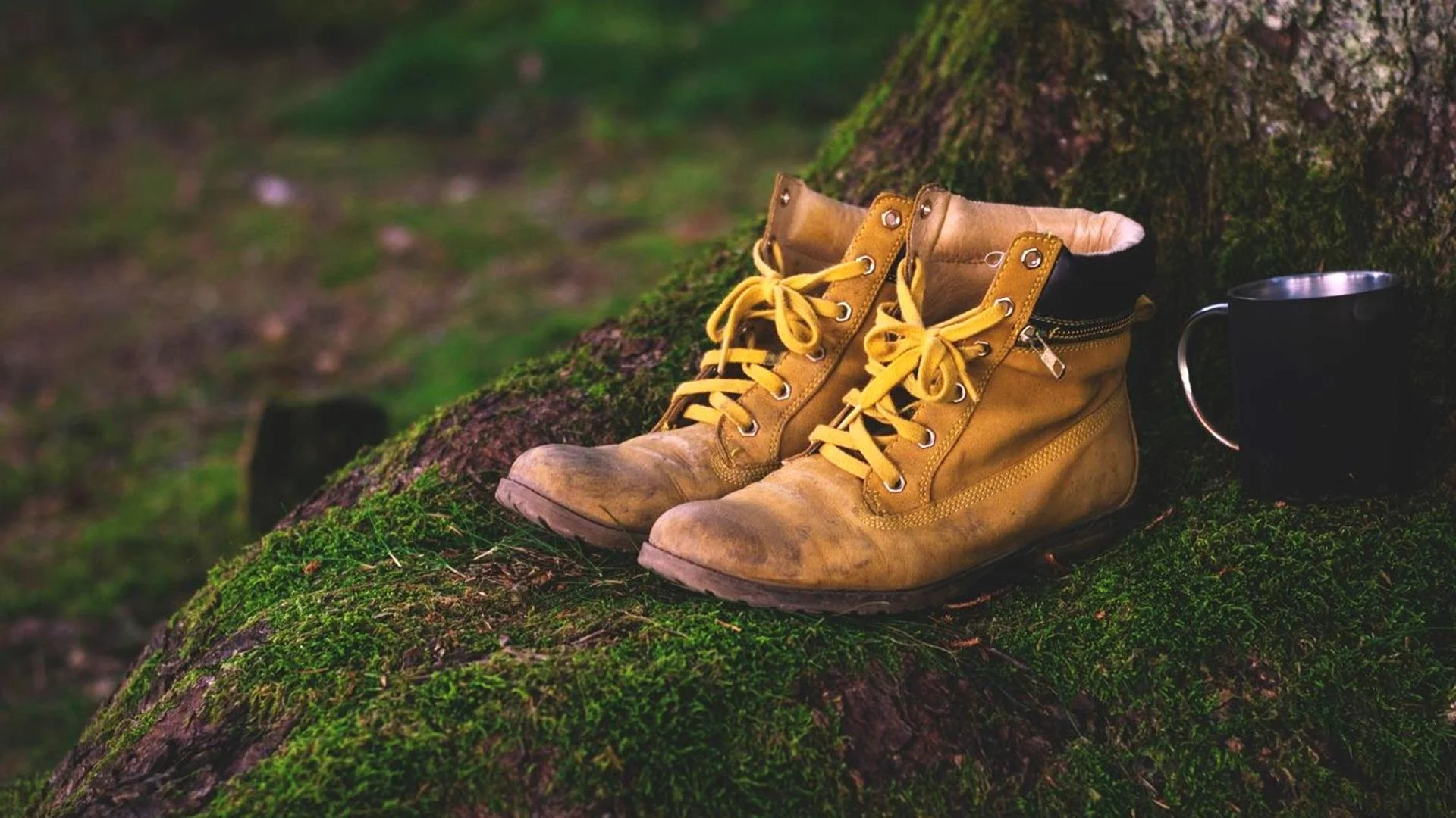 hiking2.jpg