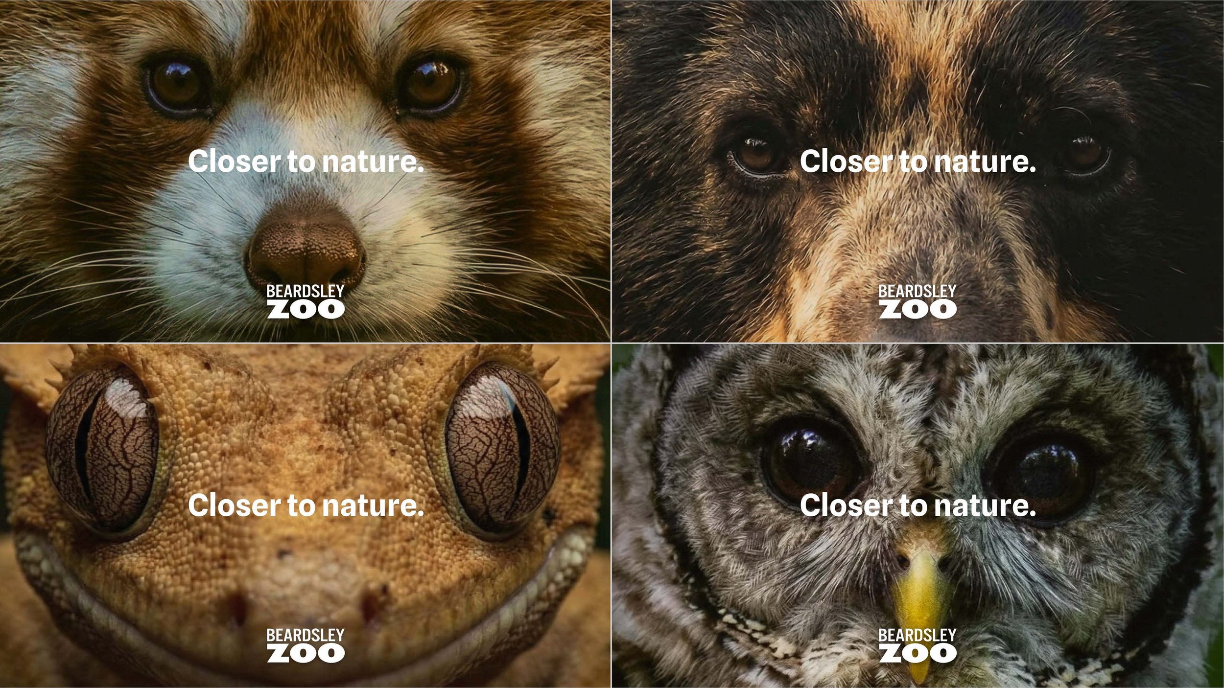 Copy of All Closer.jpg