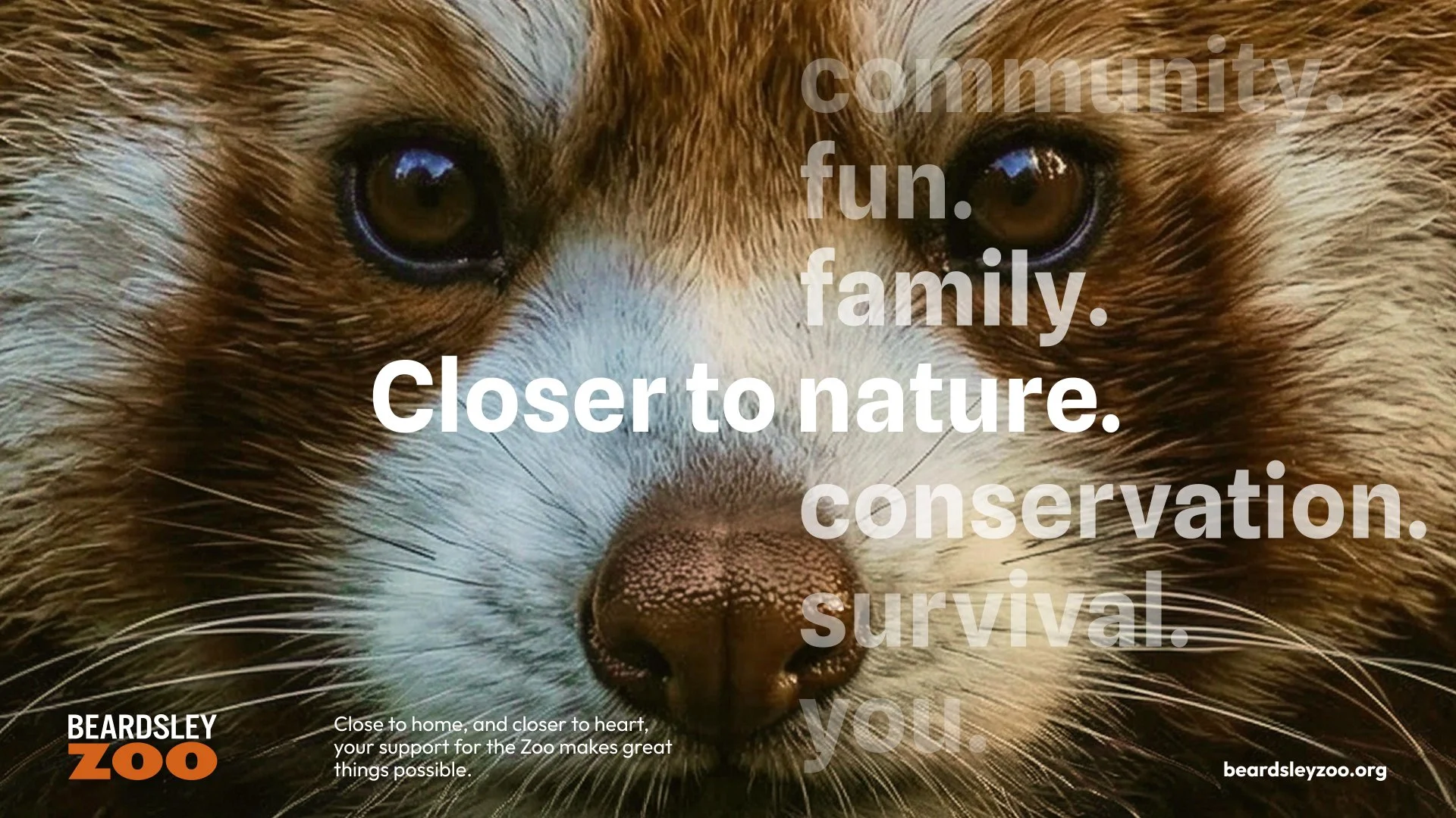Donor Collateral.jpg