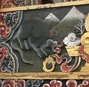 temple rats small.jpg