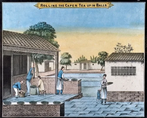 caper_tea_website.jpg