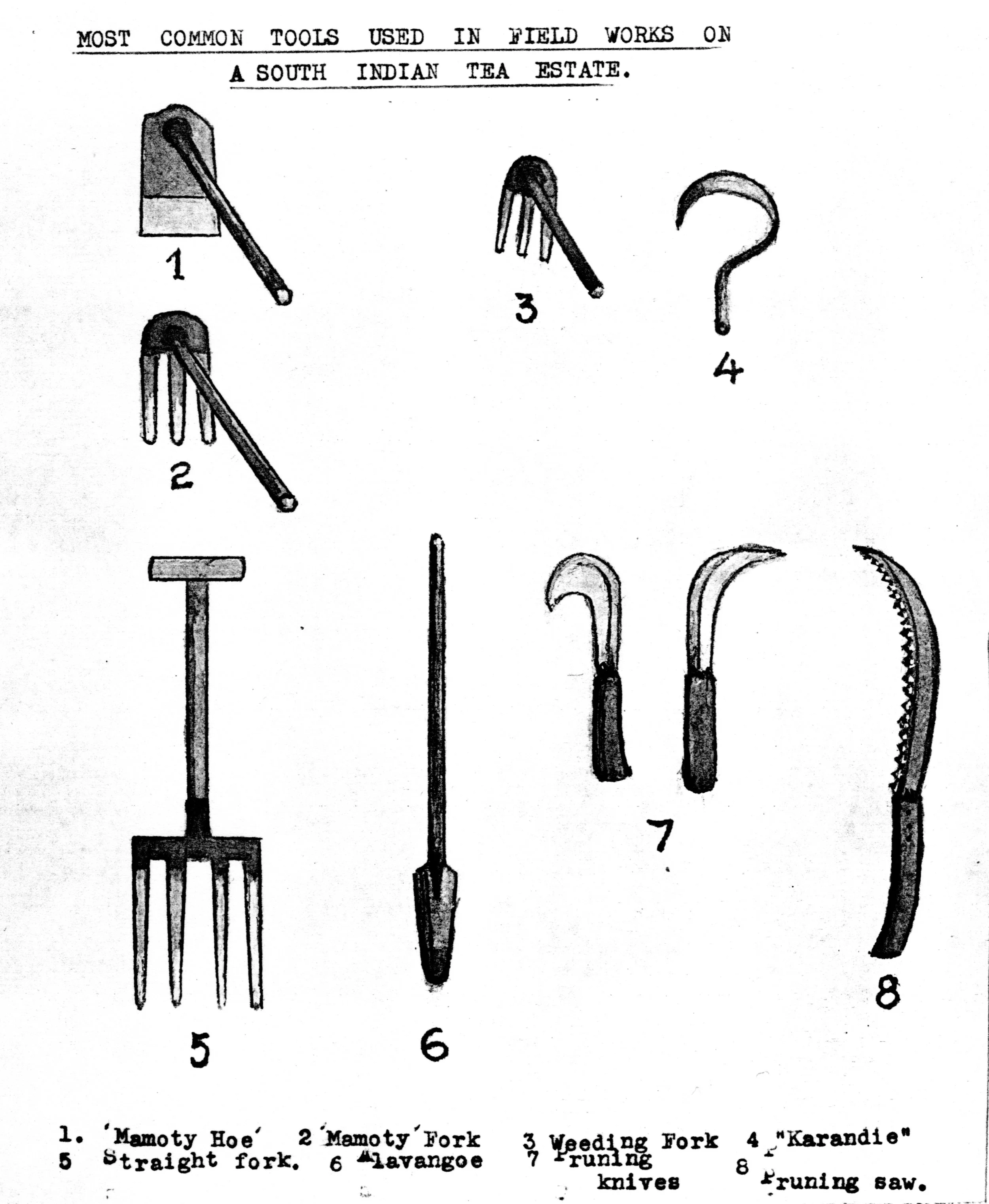 Figure 8A robertson tools.jpg