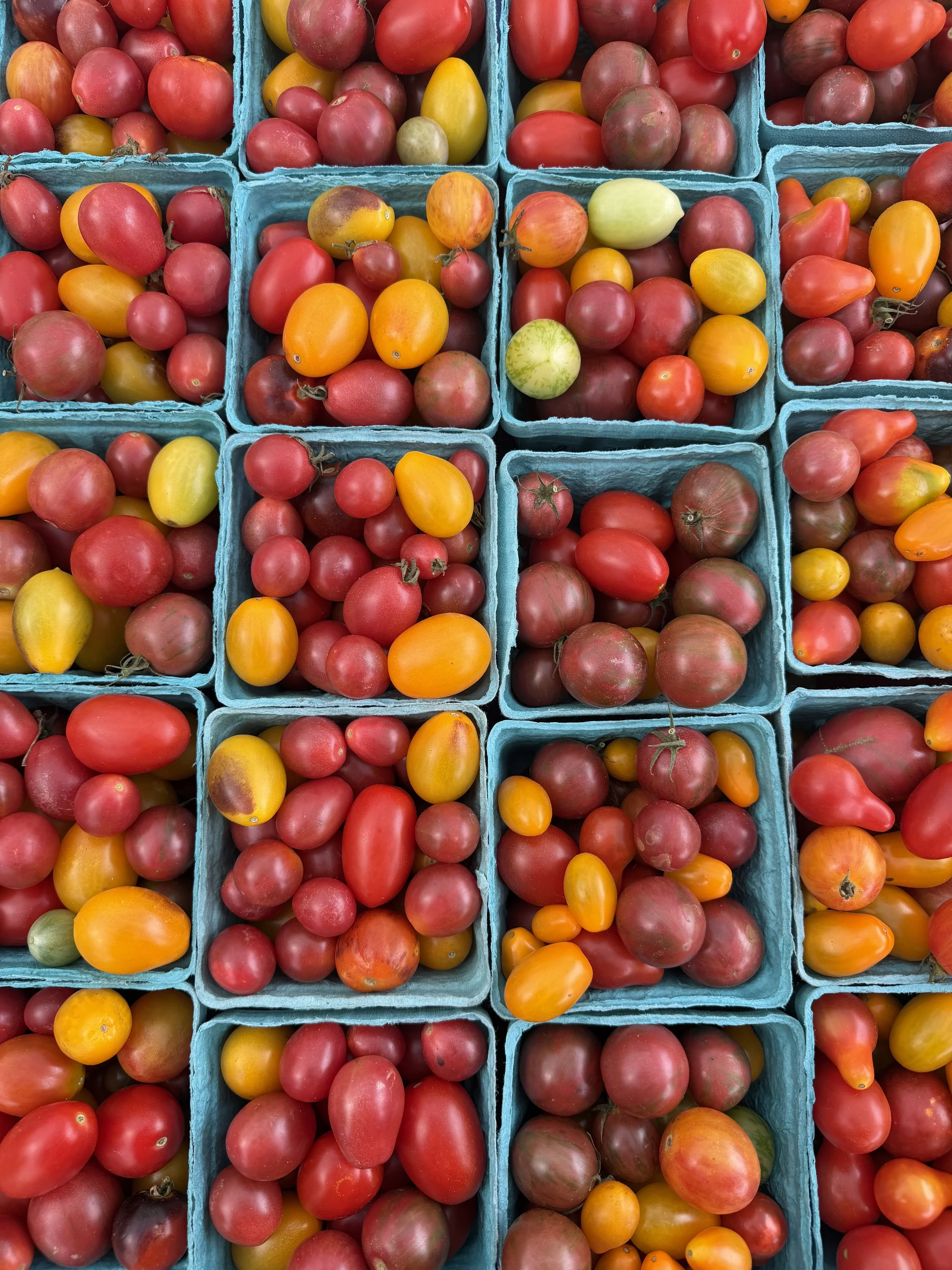 August 2026: National Farmers Market Week
