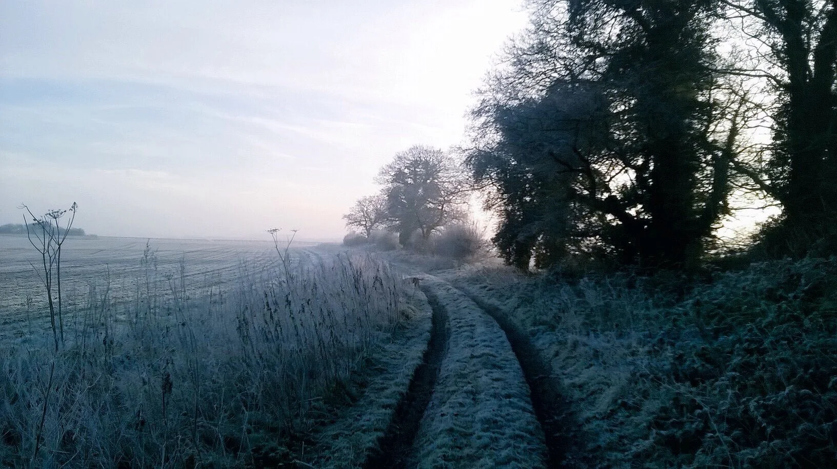 DOES ONE SHOT FOCUS THE MIND?