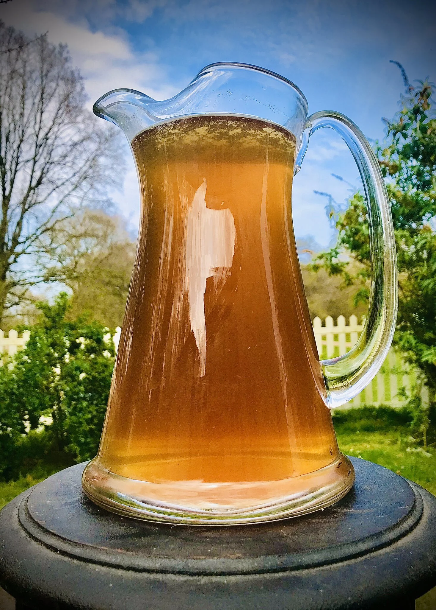 MUNTJAC BONE BROTH