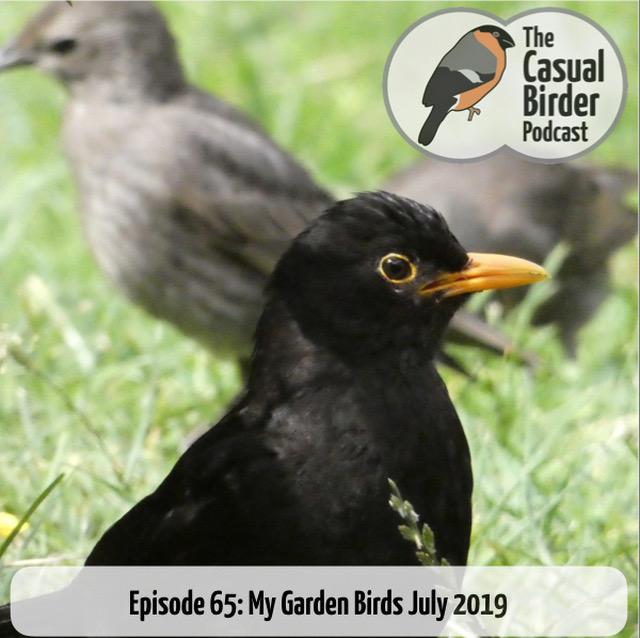 65: My Garden Birds July 2019