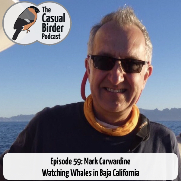 59: Mark Carwardine Watching Whales in Baja California