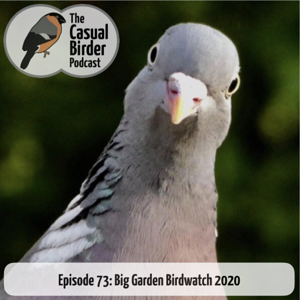 73: Big Garden Birdwatch 2020