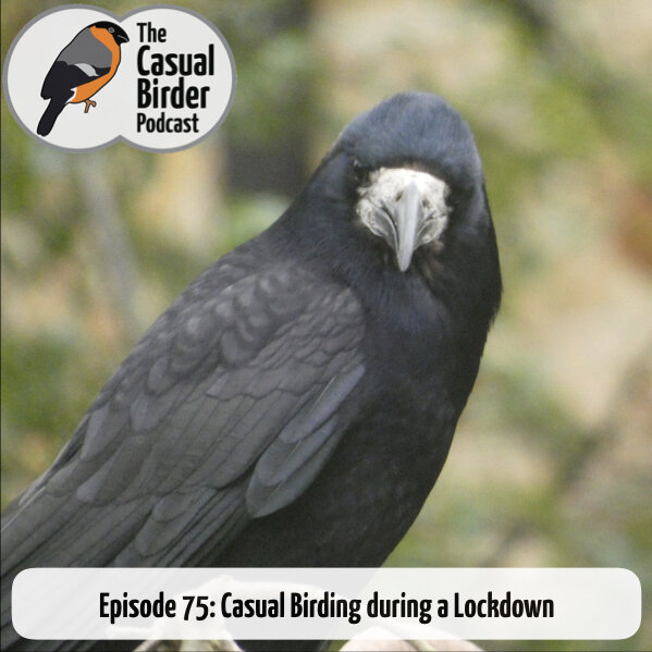 75: Casual Birding during a Lockdown