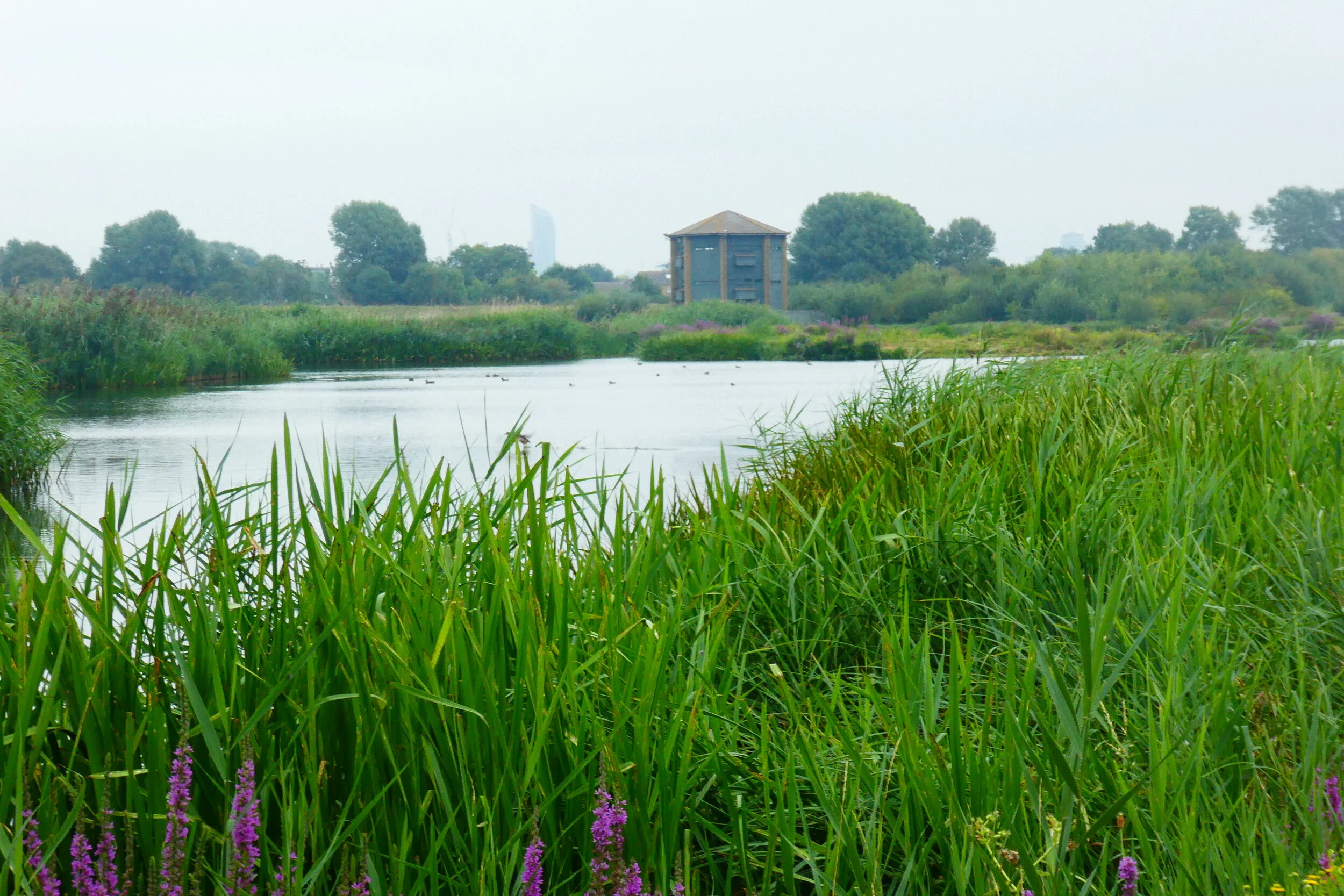 View from Discovery Hide