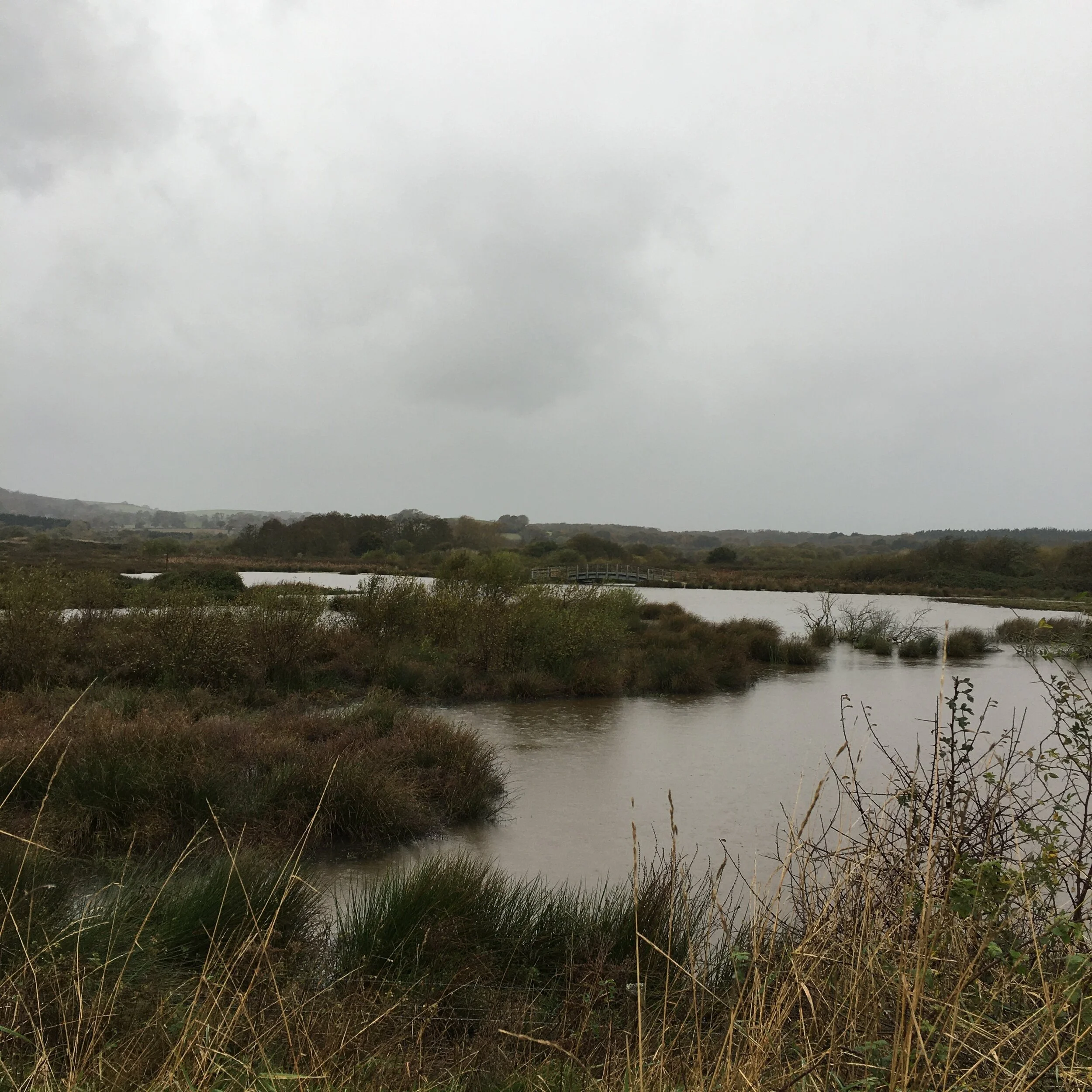 Brading Marsh view