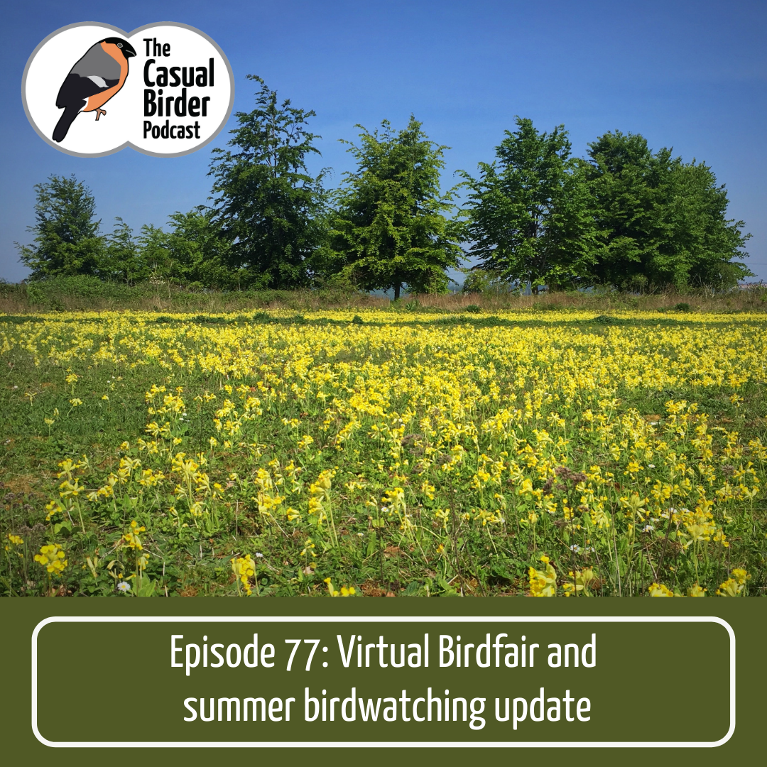 77: Virtual Birdfair and summer birdwatching update
