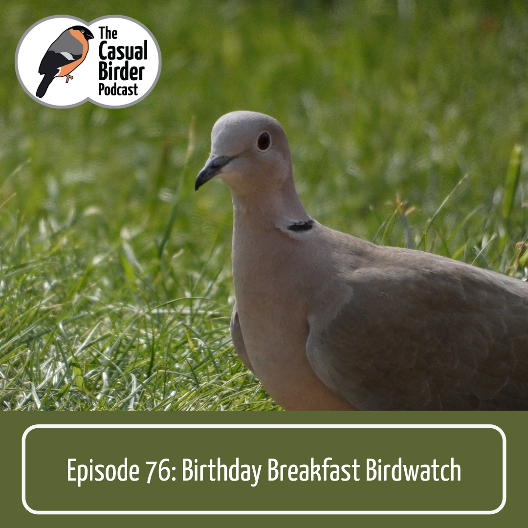 76: Birthday Breakfast Birdwatch
