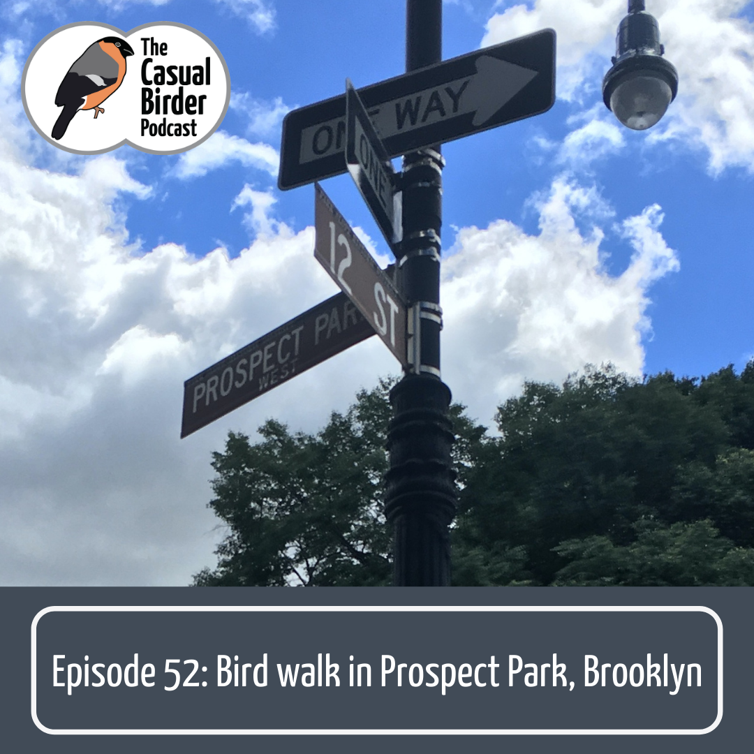 52: Bird Walk in Prospect Park, Brooklyn
