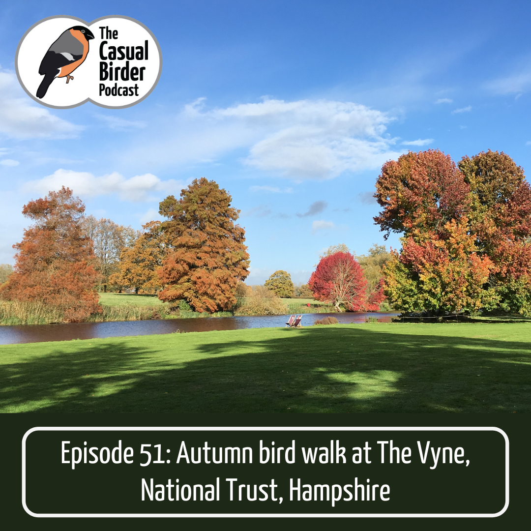51: Autumn bird walk at The Vyne, National Trust, Hampshire