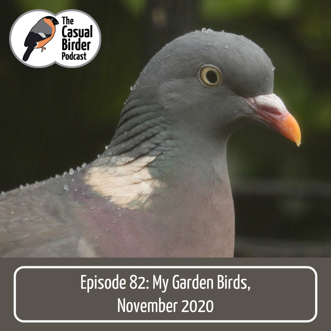 82 My Garden Birds November 2020