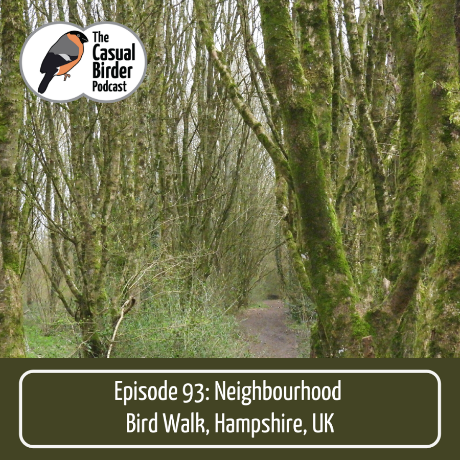 93: Neighbourhood Bird Walk