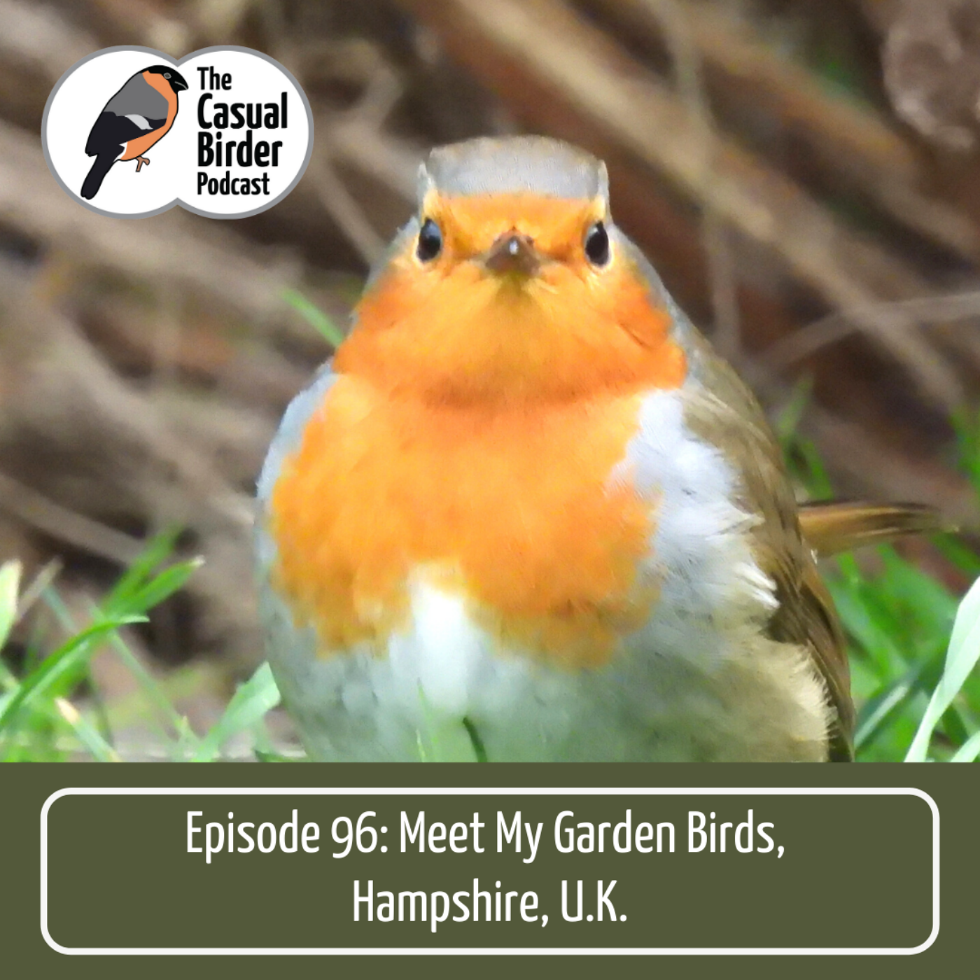 96: Meet My Garden Birds
