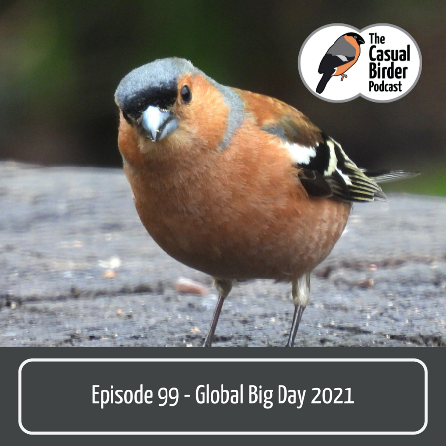 99: Global Big Day 2021