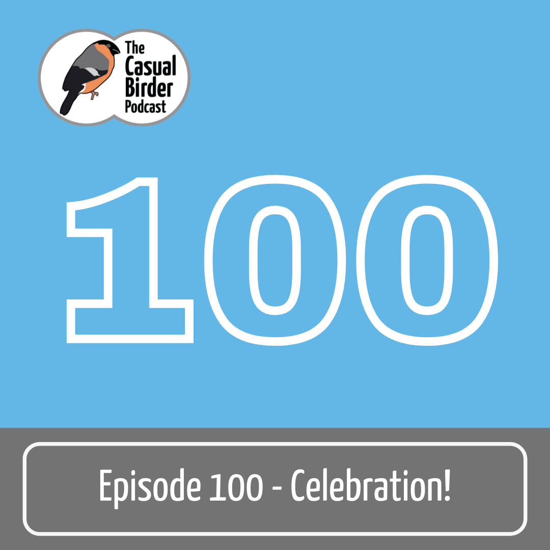 100: Celebration