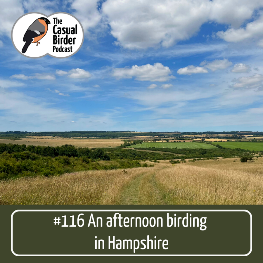 #116 An afternoon birding in Hampshire