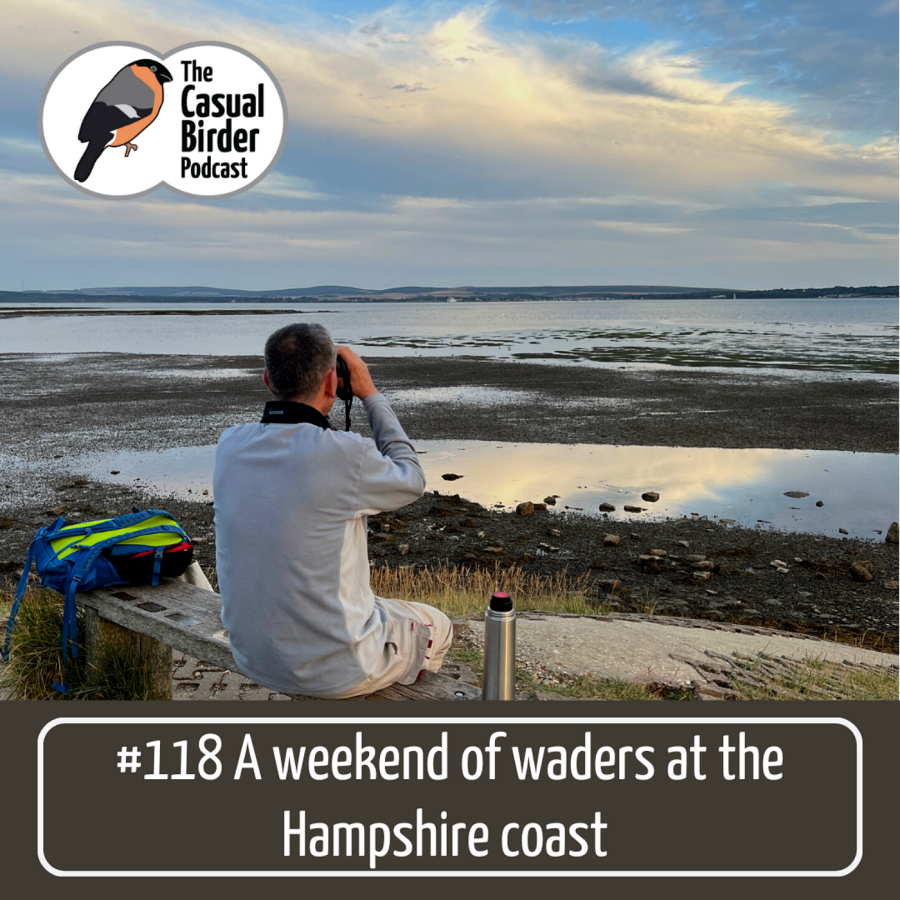 #118 A weekend of waders