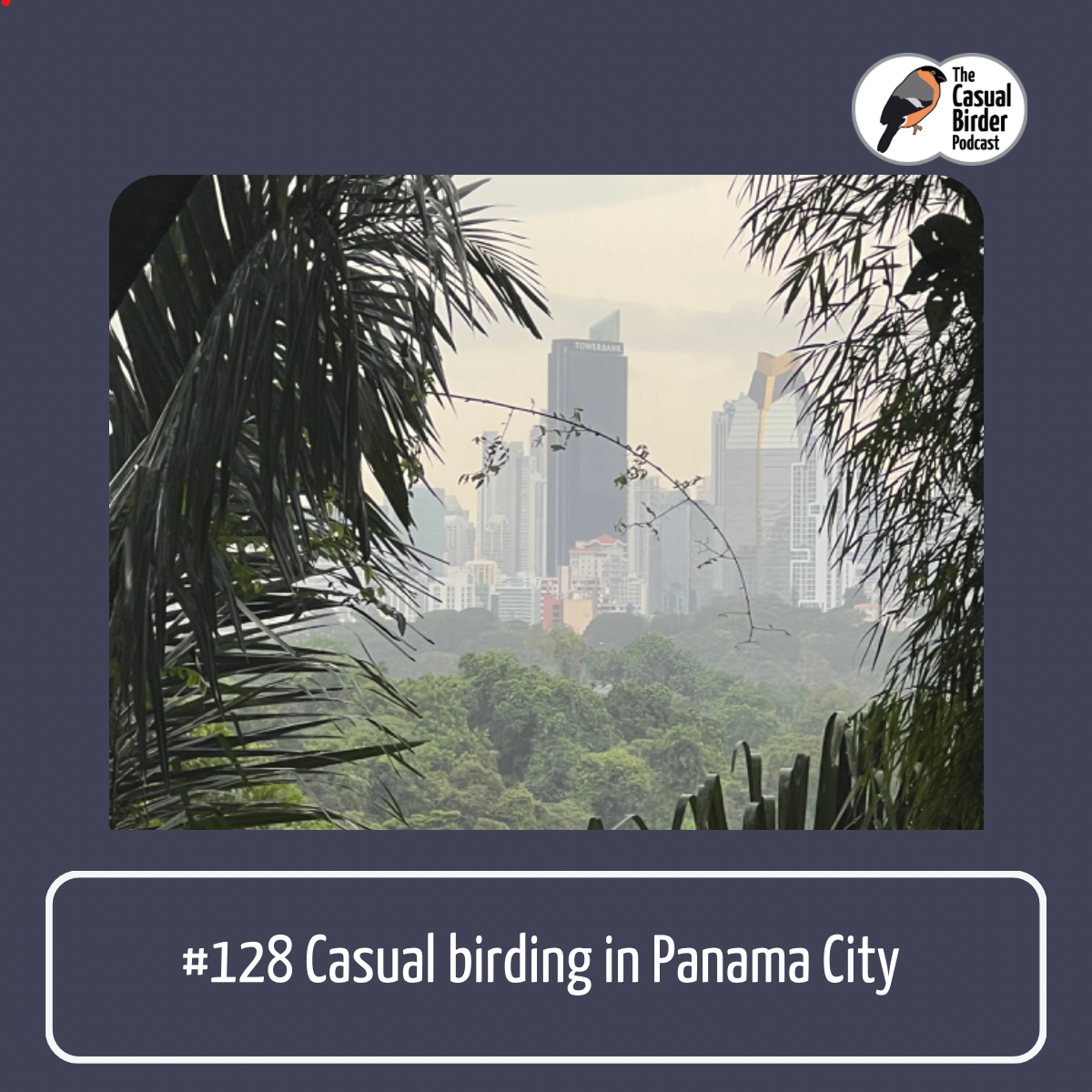 #128 Casual birding in Panama City