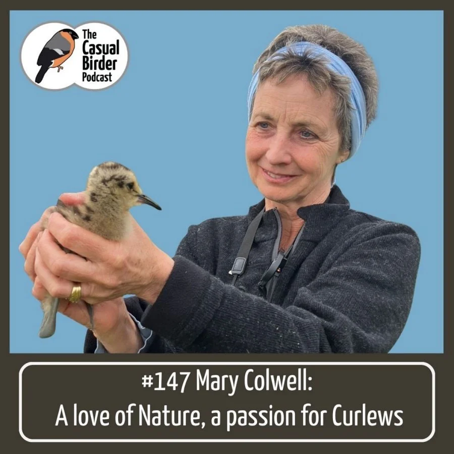 #147 Mary Colwell: A love of Nature, a passion for Curlews
