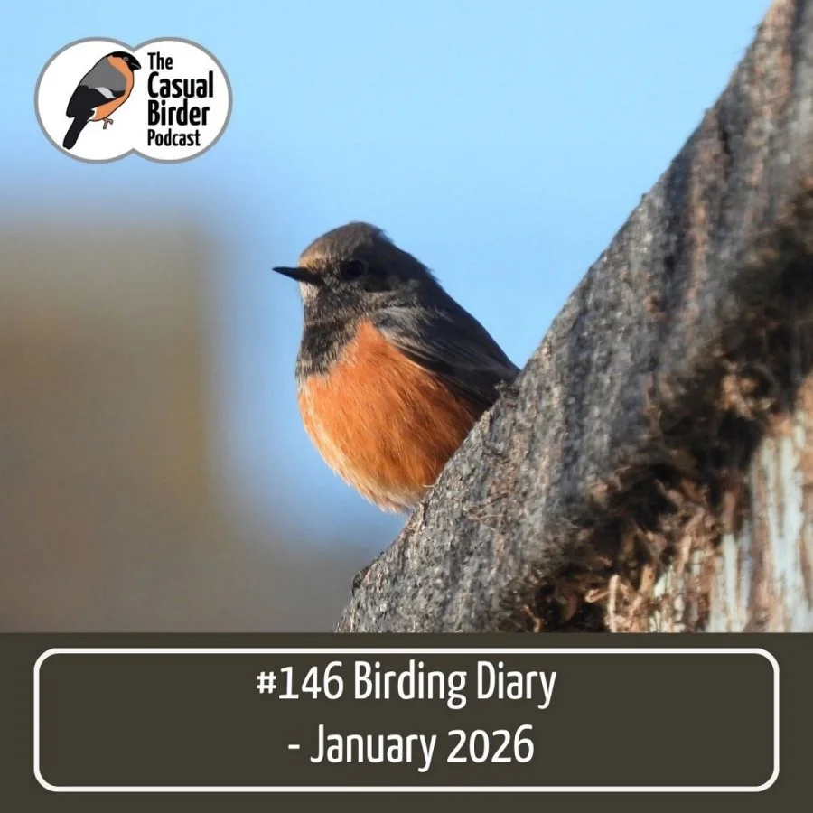 #146 Birding Diary - January 2026