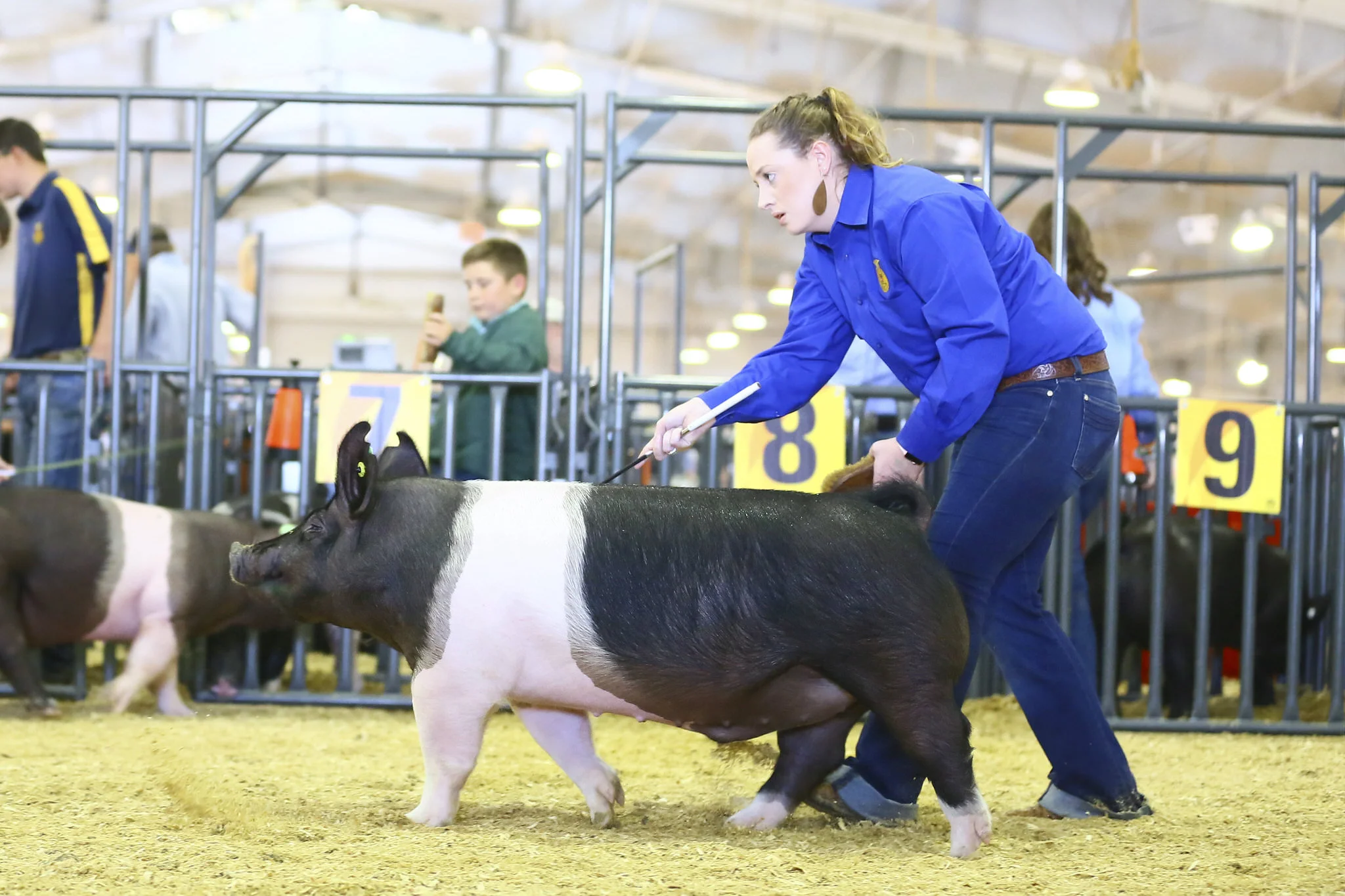 TKO-Genetics_AC18-210-4354_TulsaStateFair2018.jpg