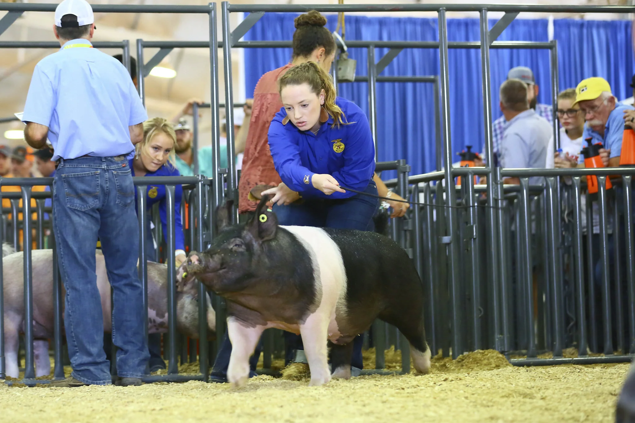 TKO-Genetics_AC18-210-4911_TulsaStateFair2018.jpg