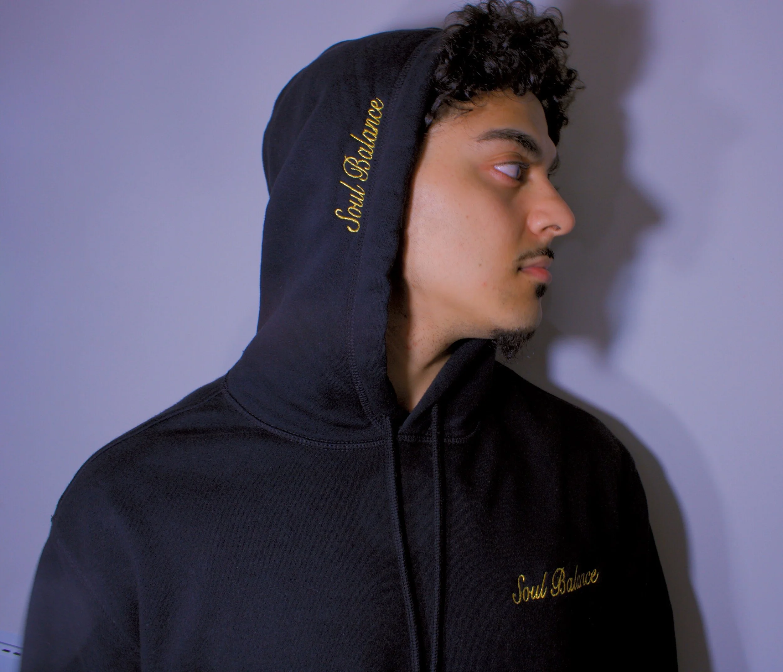 SB Hoody.JPG