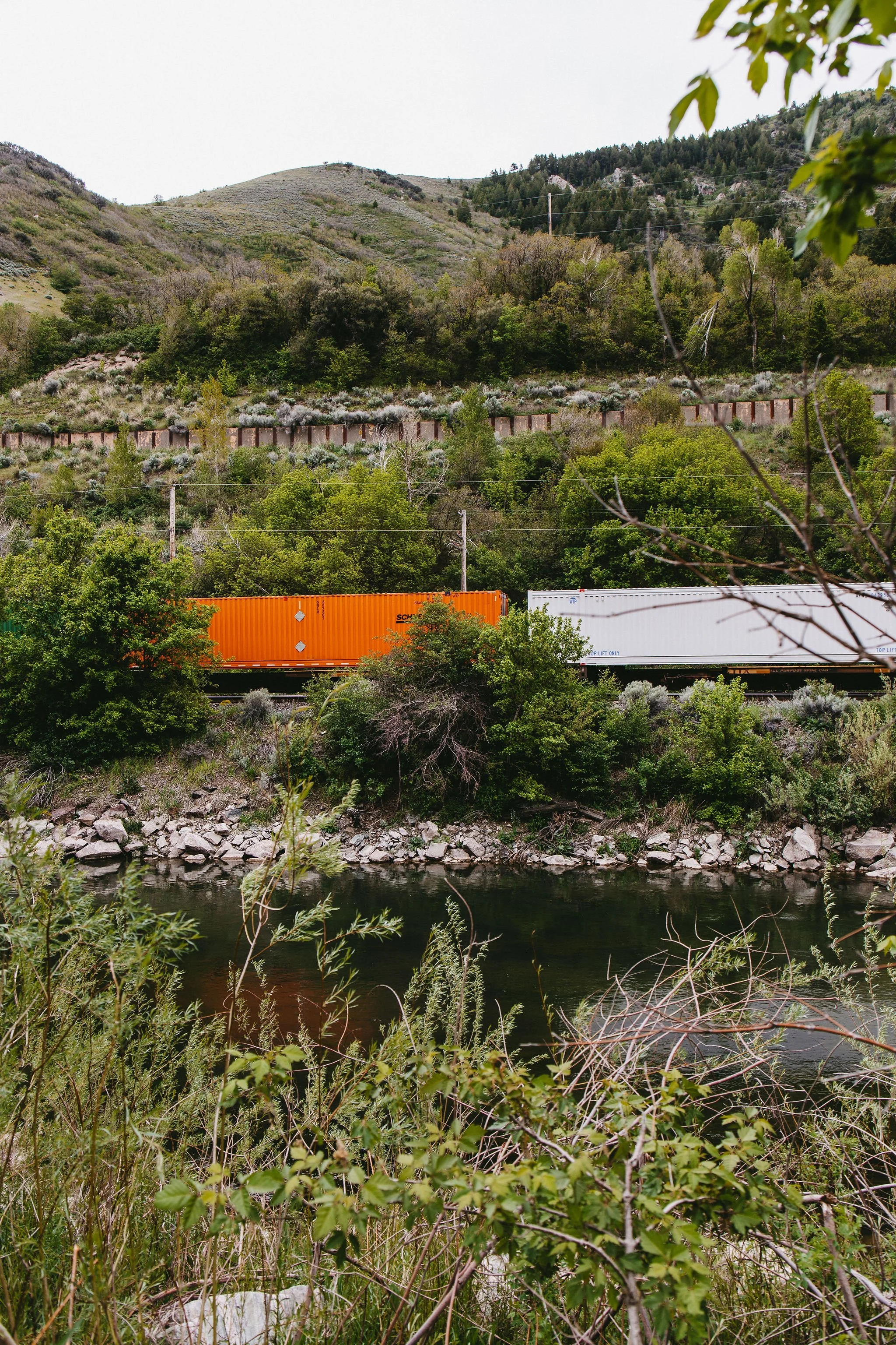 Fish-for-Garbage-Weber-River-5473.jpg
