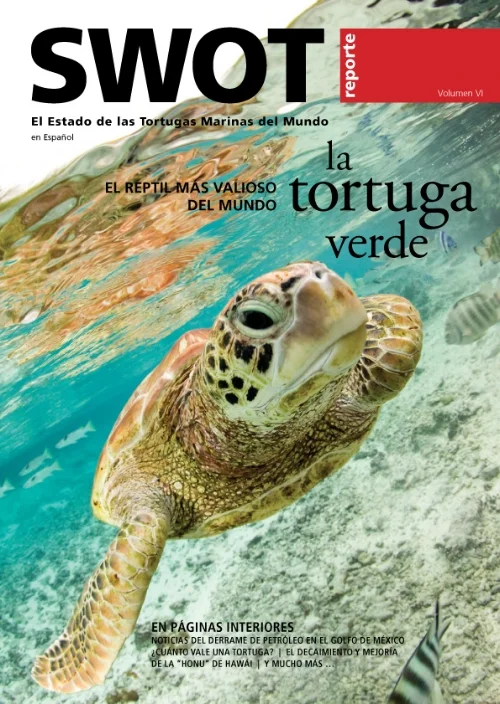 SWOT 6 Spanish_cover.jpg