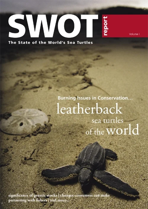 SWOT-Report-1-Cover.jpg