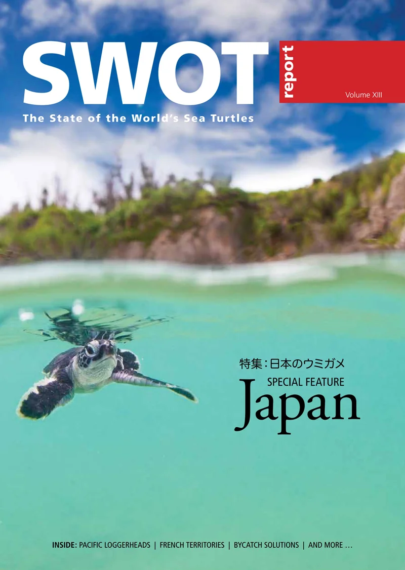 SWOT-13-cover-web.jpg