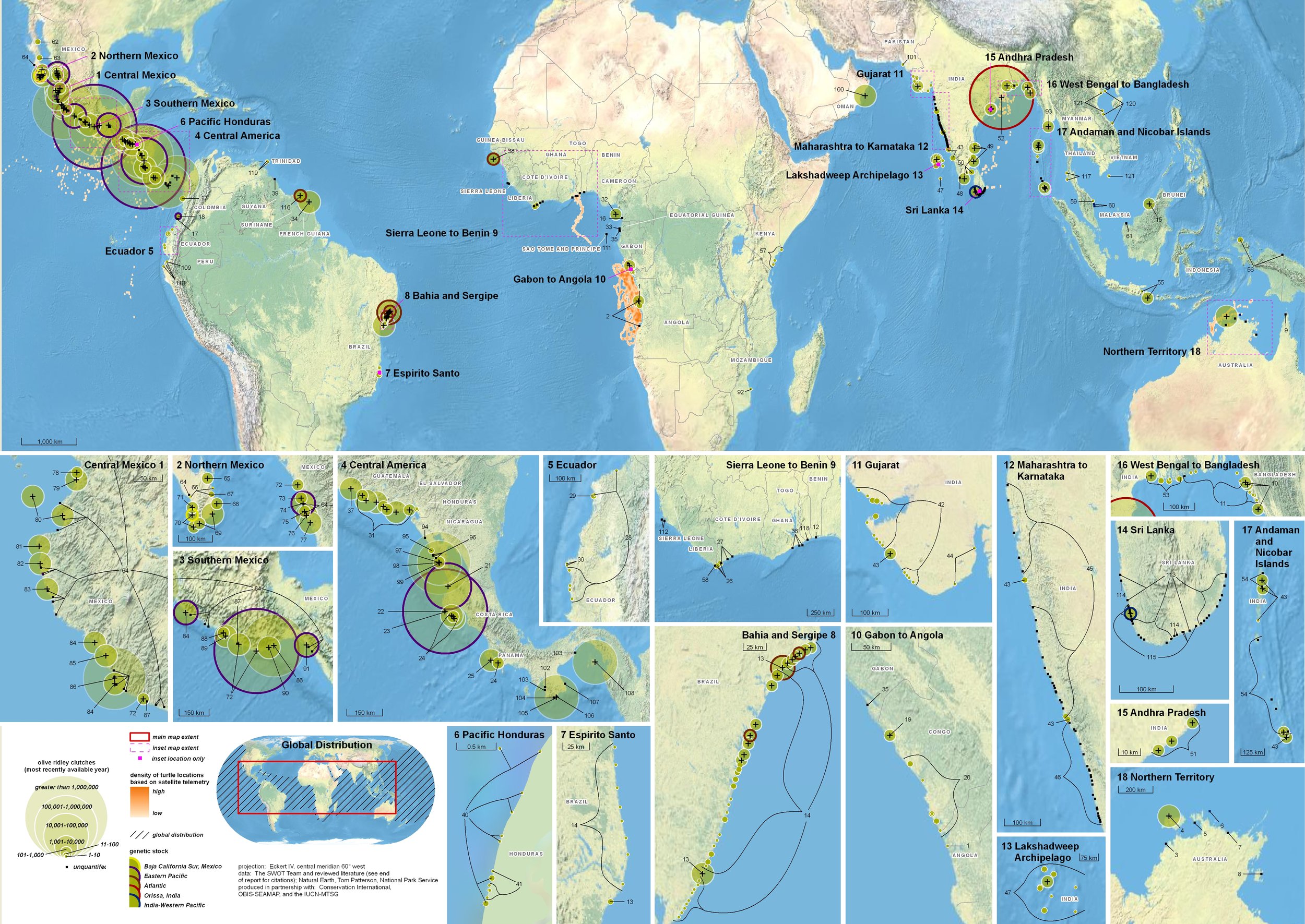 Global Biogeography of the Olive Ridley ( data citations ) | SWOT Report , vol. V (2010) .