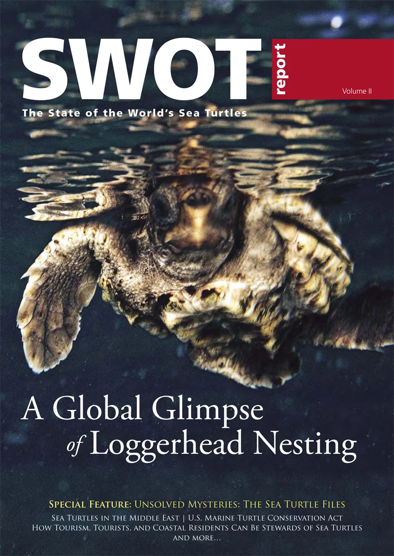 SWOTReport2-cover.jpg