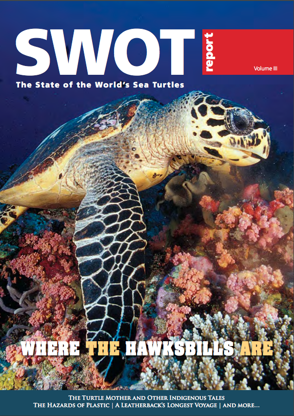 SWOT 3 ENG Cover.png