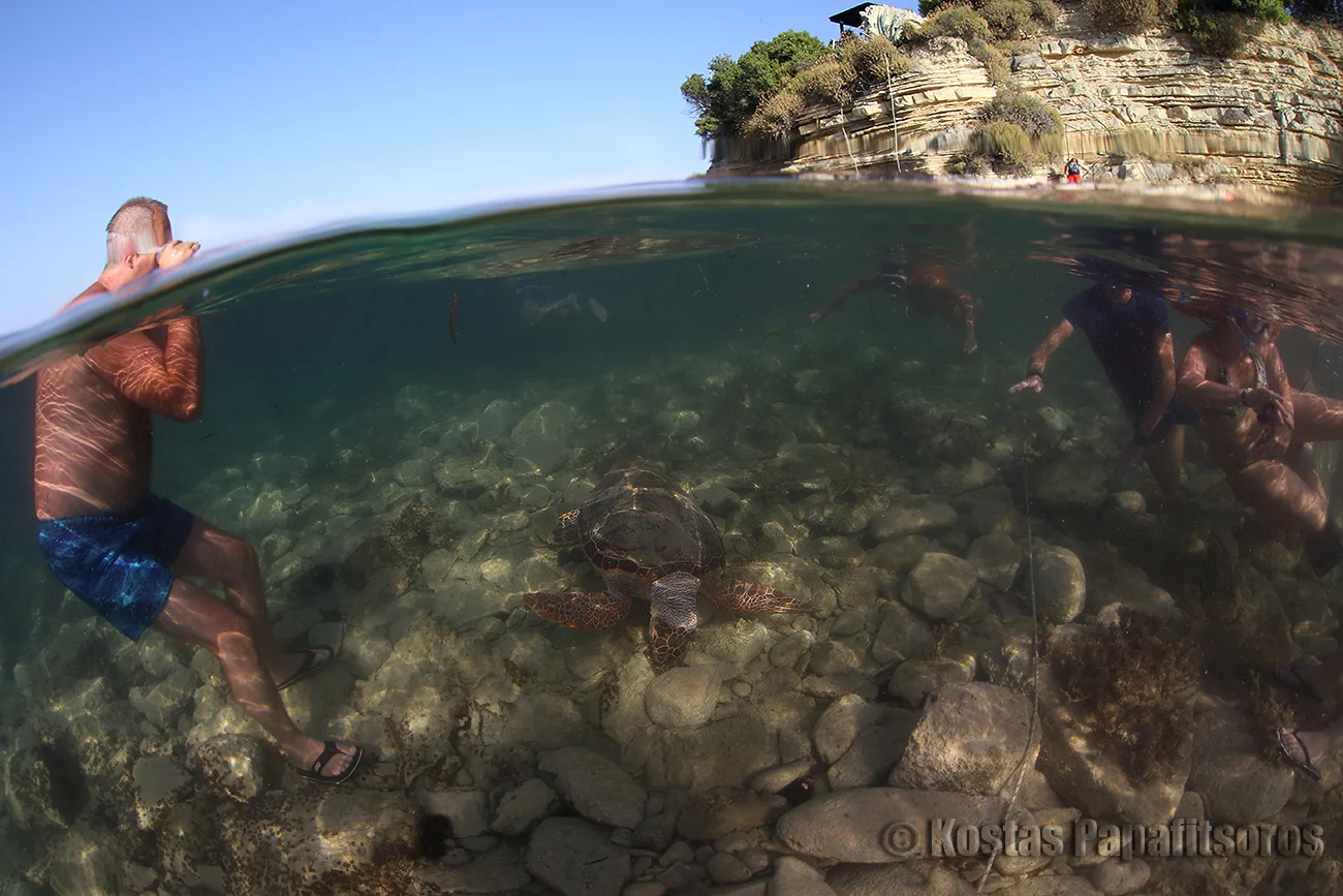 Kostas Papafitsoros — Greece (2017)