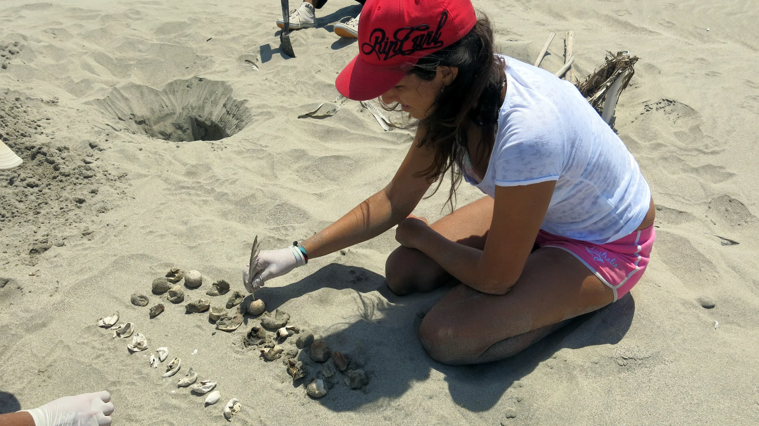 ecOceánica — Peru (2015)