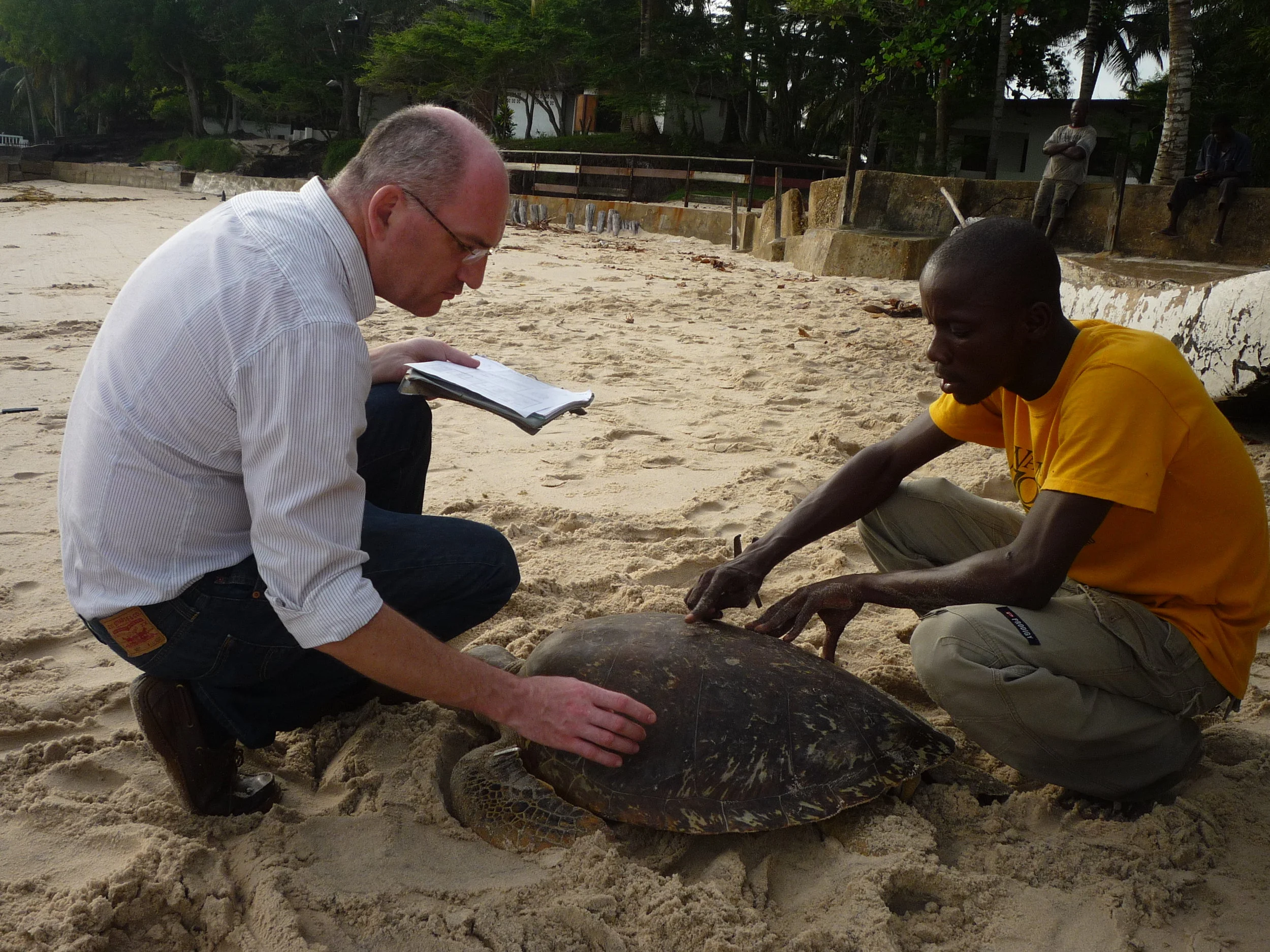 Université Paris–Sud — France &amp; Worldwide (2014)