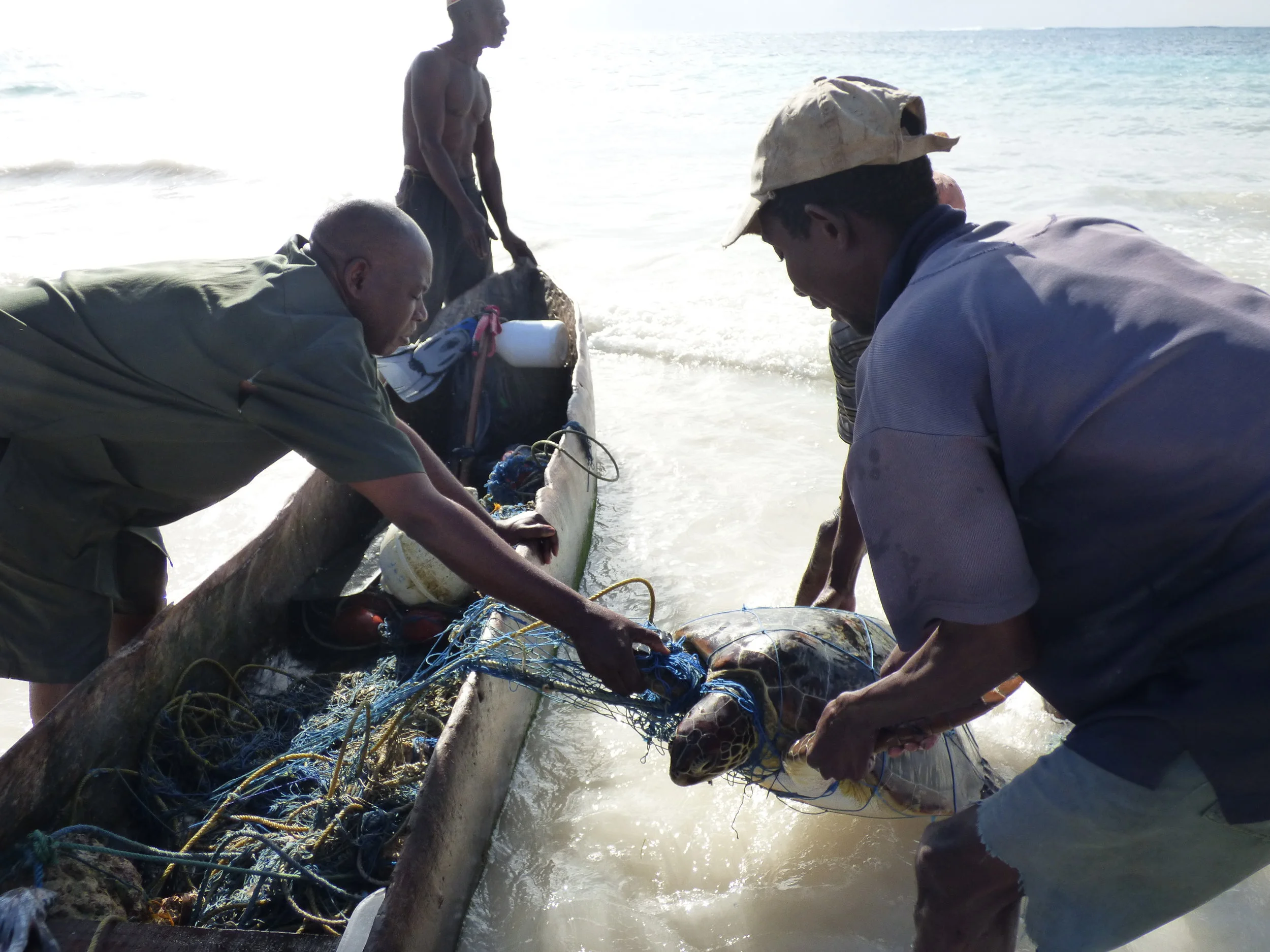 Local Ocean Trust - Diani Turtle Watch — Kenya (2014)