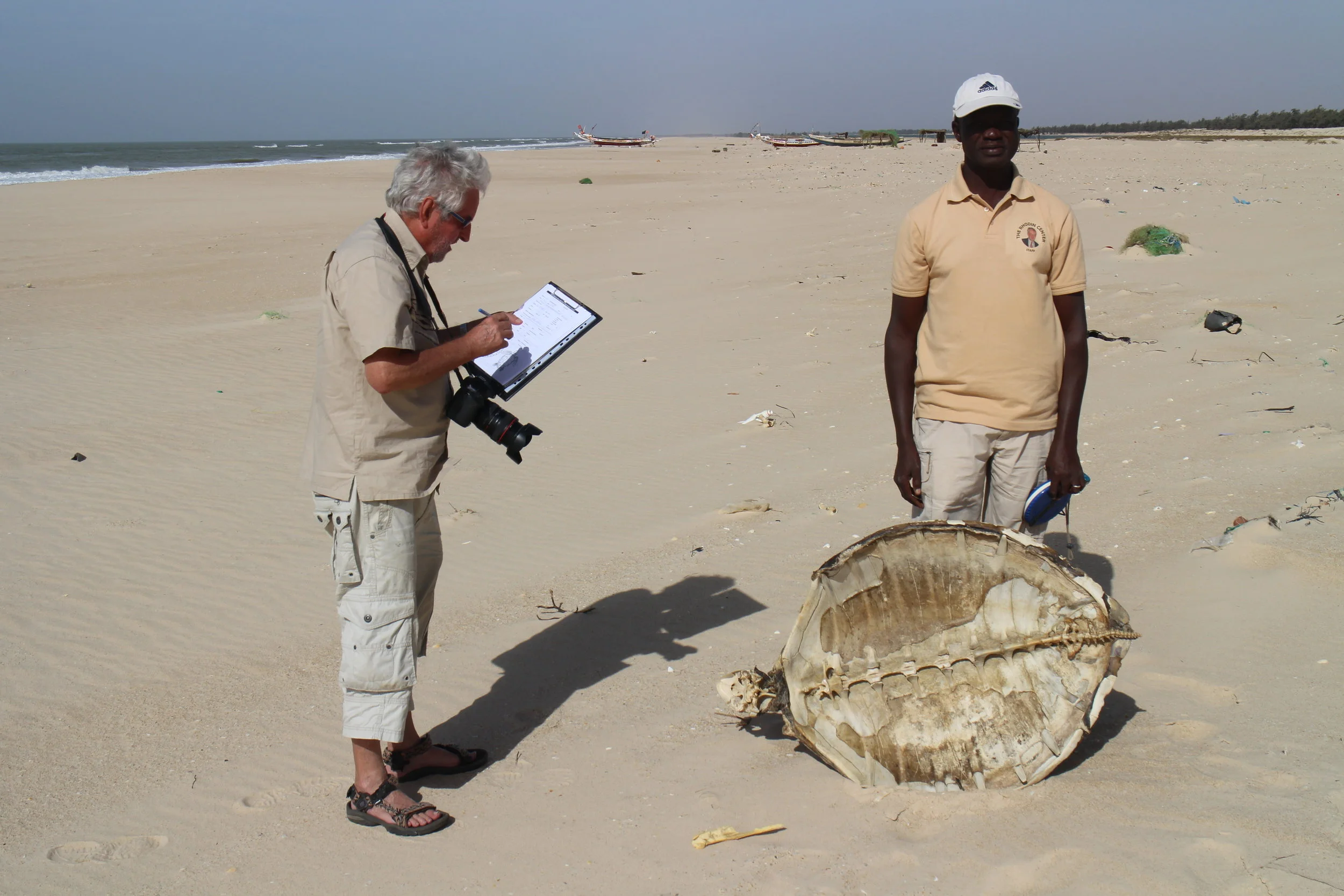 African Chelonian Institute —  Senegal (2016)