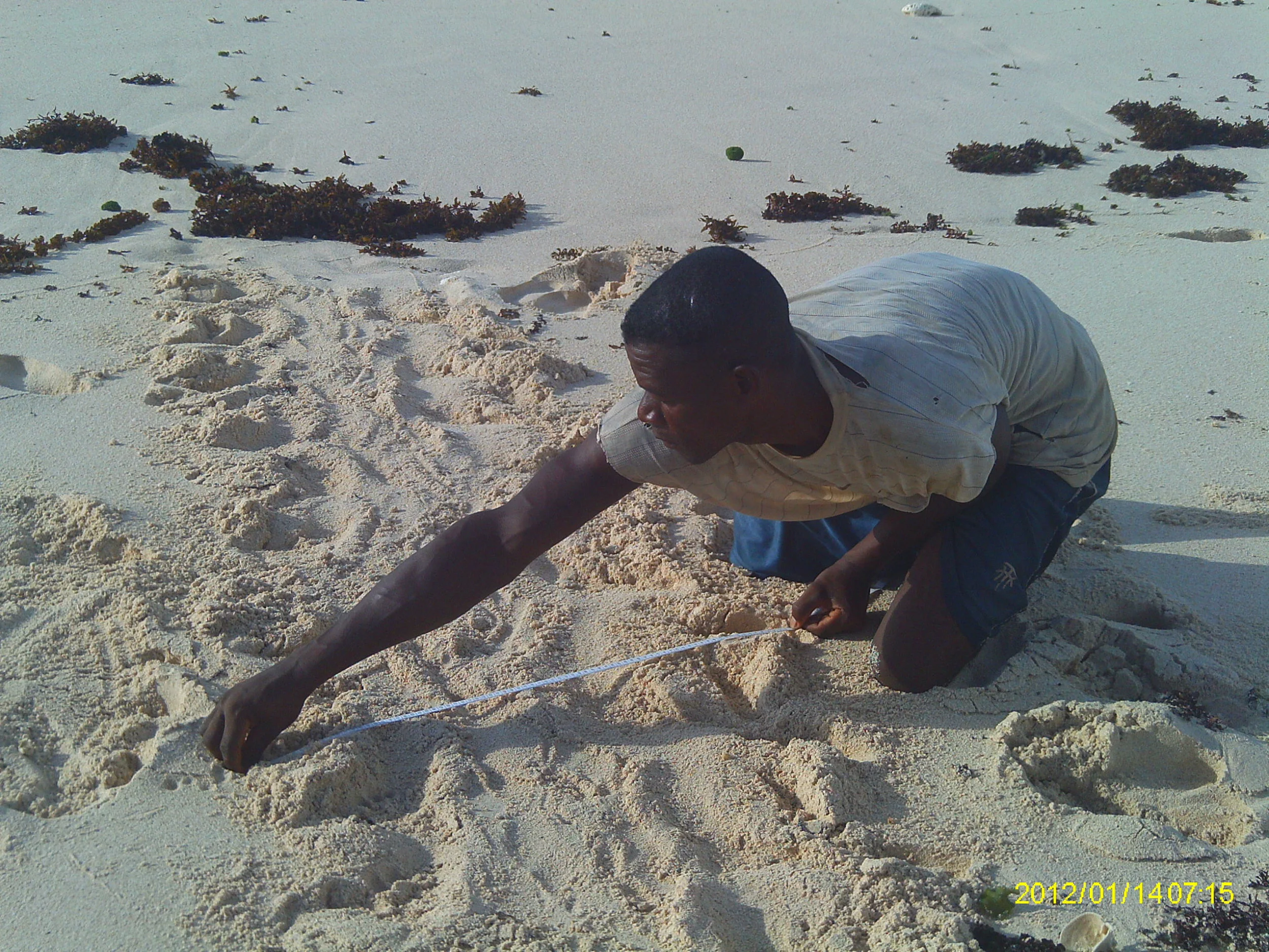 Blue Ventures — Madagascar (2012)