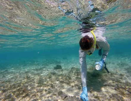 A researcher collects sediment samples for the “Rivers to Reef to Turtles” study. © GÖKSEL DOGRUER / WWF-AUSTRALIA