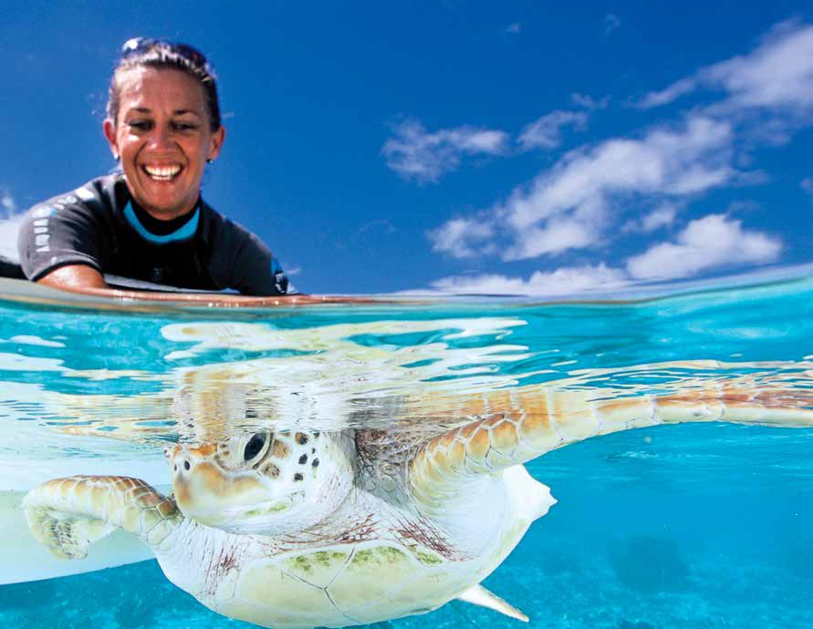 Cécile Gaspar releases a rehabilitated green turtle in French Polynesia. © TE MANA O TE MOANA