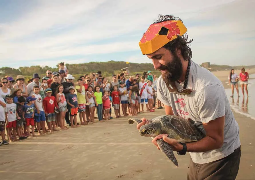 A rehabilitated green turtle is released to the sea after recovering at one of Karumbé’s rehabilitation facilities. © RUTA TORTUGUERA
